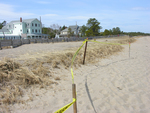 Ferry Beach erosion by Joseph Kelley