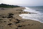 Ferry Beach State Park erosion