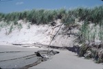Bel Erosion Prouts Neck CC by Joseph Kelley