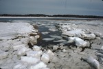 frozen winter salt marsh