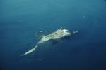Casco Bay island from air