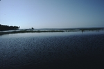 Songo river mouth, Sebago lake