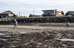beach trashed after new seawall constructed