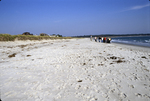 Pine Pt Atlantic beach erosion