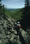 Hiking trail at Acadia National Park