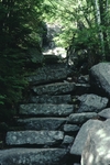 boulder hiking trail on Dorr Mountain