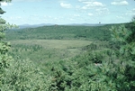 view of wetland from Dorr Mountain