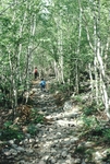 Dorr Mountain hike by Joseph Kelley
