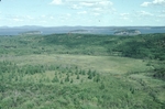 Porcupine island wetland, view from Dorr Mountain