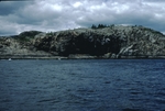 Gread Head cliff at Acadia National Park