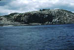 Great Head cliff, Acadia National Park by Joseph Kelley