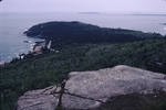 Trees not burned in 1947 on Otter Point, Acadia National Park