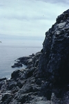 Otter Cliffs, Acadia National Park by Joseph Kelley