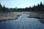 Outlet of Jordan Pond, Acadia National Park by Joseph Kelley