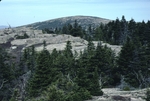 view from Pemetic Mountain of Cadillac Mountian