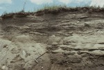 Marine Raised - Beach Deposit (Reworked Till), Frost Hill by Woodrow B. Thompson
