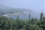 Ocean drive in fog, Acadia National Park