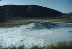 Frozen marshland at Acadia National Park