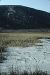 Frozen marshland view of mountain