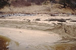 Berm layers on Sand Beach, Acadia National Park