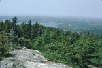 view of Somes Sound from Norumbega Mountain by Joseph Kelley