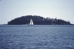 view of elevated island in Somes Sound, Acadia National Park
