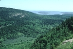 view from Beech Mountain, Acadia National Park