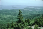 view of bay from Beech Mountain, Acadia National Park