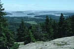 view from Mansell Mountain, Acadia National Park