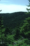 view of Bernard Mountain from Mansell Mountain by Joseph Kelley