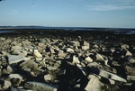 granite blocks on Wonderland Point, Acadia National Park by Joseph Kelley
