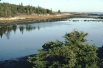 intertidal zone at Schoodic Point