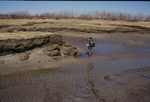salt marsh bank erosion by Joseph Kelley