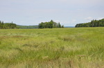 Gouldsboro marsh from south