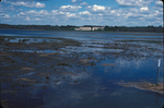 perigean high tide in Wells salt marsh
