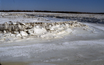 salt marsh in winter