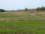 Hay Creek bog marsh interaction