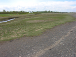 upper end of Lubec salt marsh