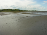 newest salt marsh at Lubec by Joseph Kelley