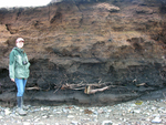Lubec Heath stratigraphy with wood by Joseph Kelley