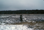 ditched salt marsh by Joseph Kelley