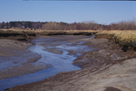 eroding tidal creek banks by Joseph Kelley