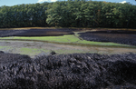 marsh oiled by JulieN spill by Joseph Kelley