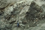 Marine fossil shells in Winthrop pit by Woodrow B. Thompson