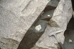 Xenoliths in basalt dikes cutting granite, North Bridgton by Woodrow B. Thompson