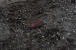 Red Swiss Army Knife Used as Scale
