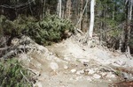 Gilead landslide of July, 1998