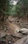 Gilead landslide of July, 1998