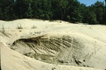 Wayne eolian sand by Woodrow B. Thompson