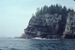 Shipstern Island volcanic rocks by Woodrow B. Thompson